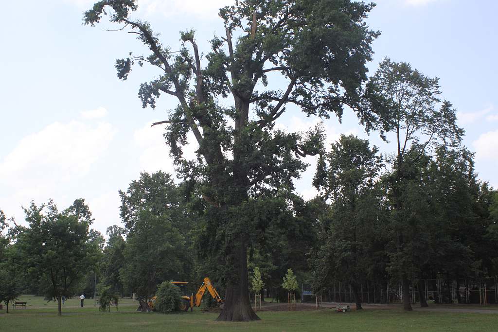 Legnicki Park