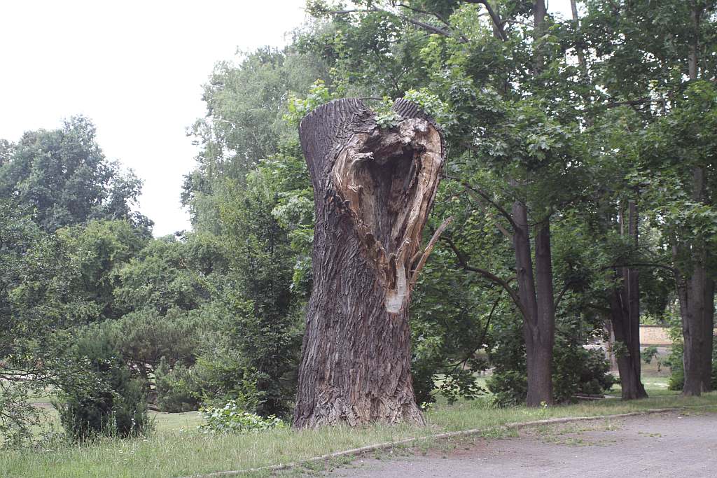 Legnicki Park