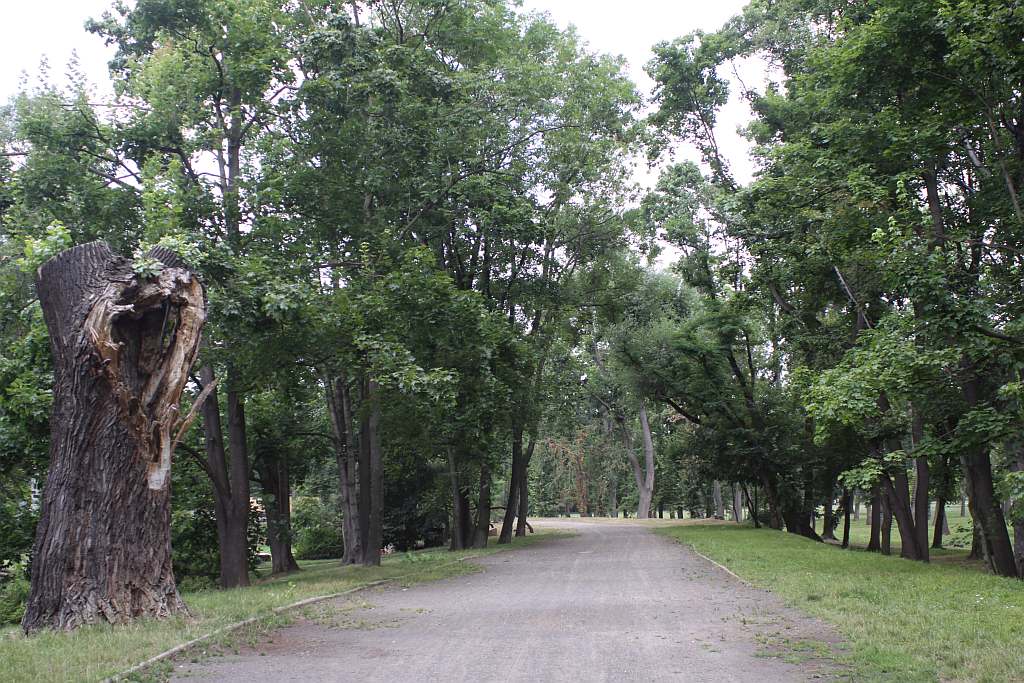 Legnicki Park