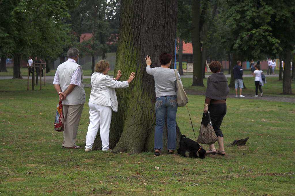 Łapacz Wiatru i happening