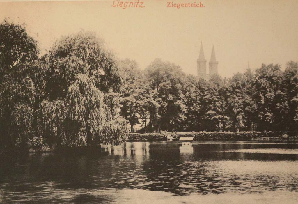 Z dziejów Parku
