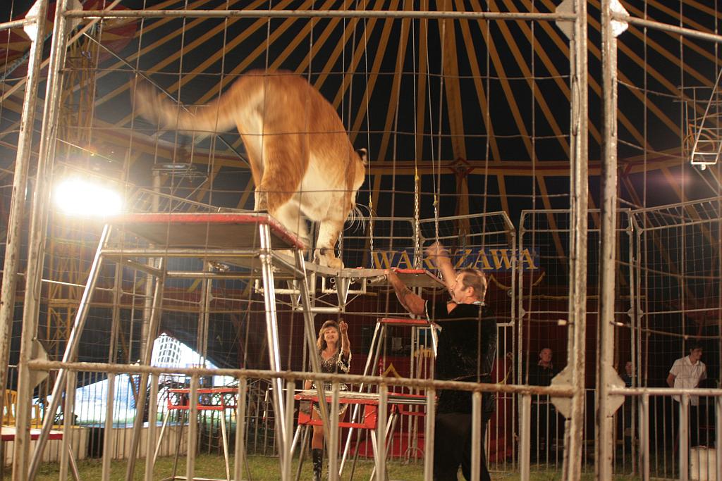 Cyrk Warszawa bawi legniczan