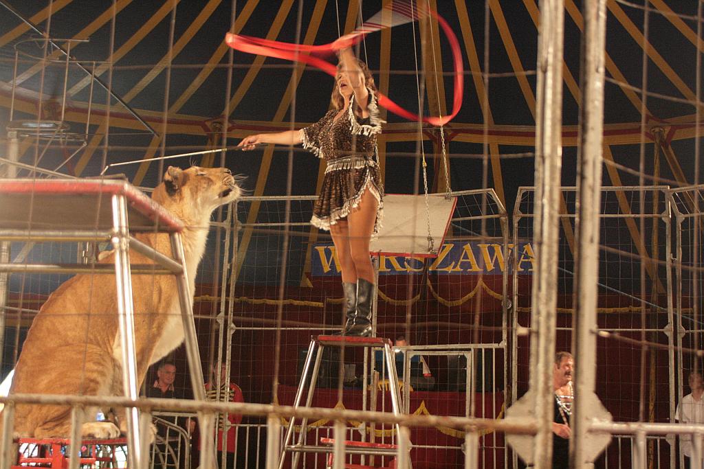 Cyrk Warszawa bawi legniczan