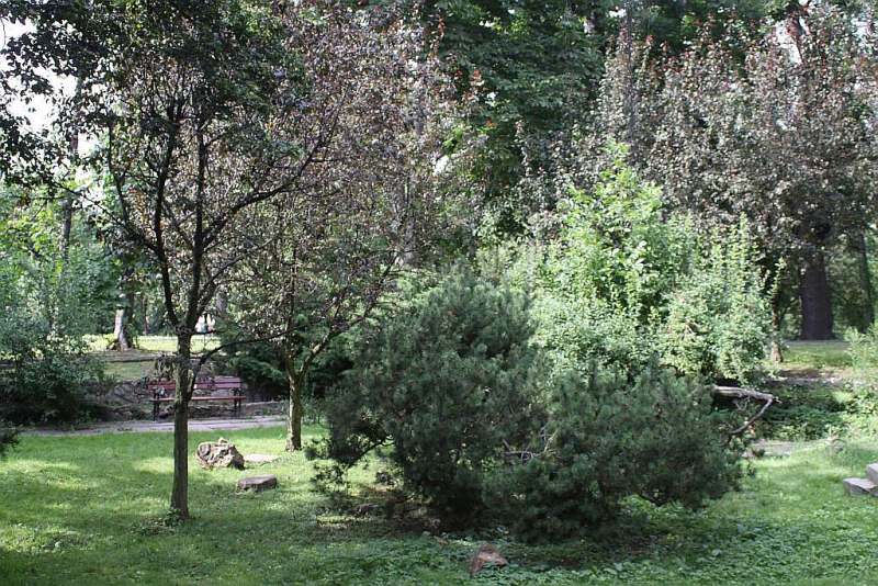 Spacer po legnickim Parku