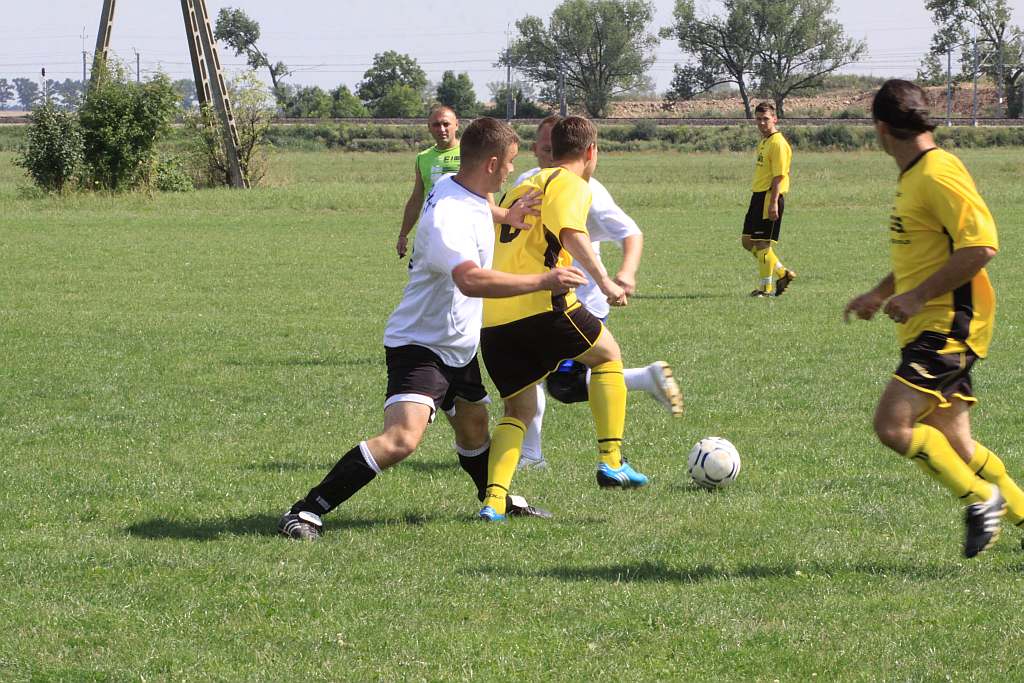 Mewa - Kochlice