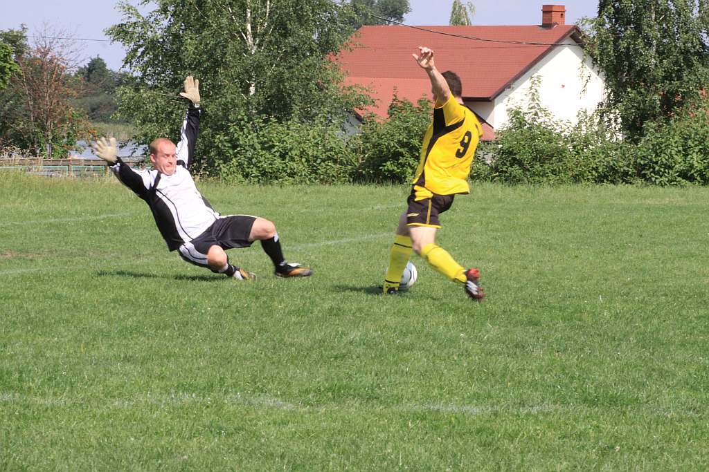 Mewa - Kochlice