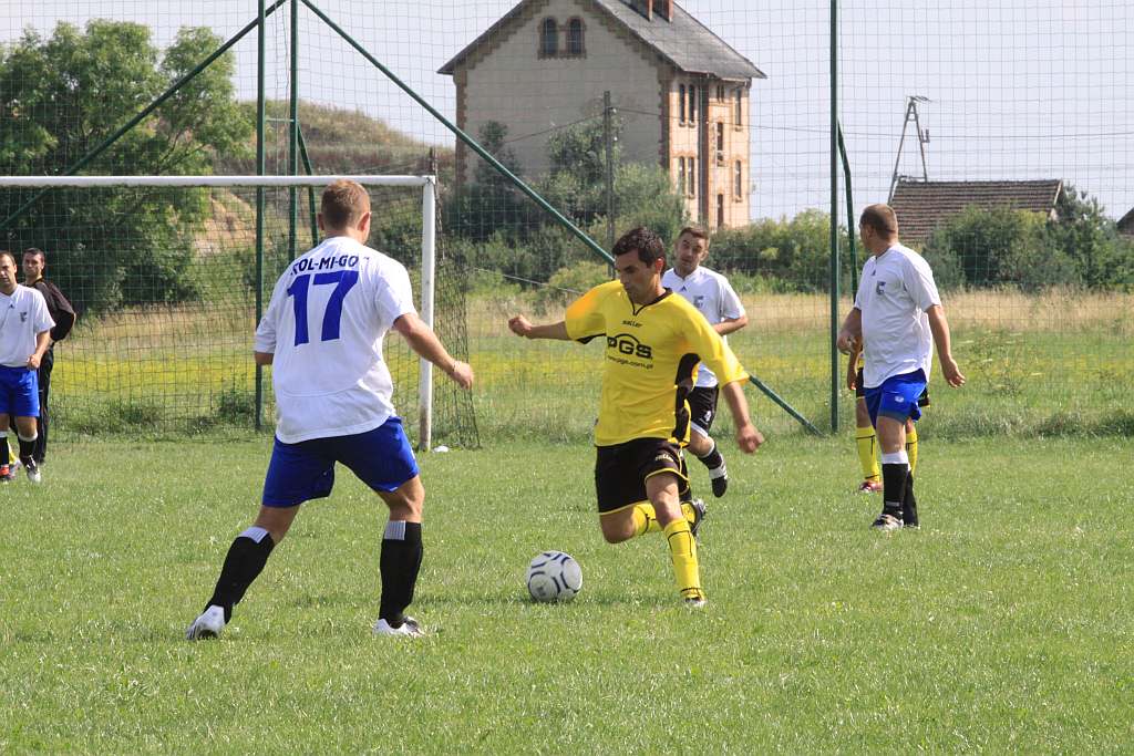 Mewa - Kochlice