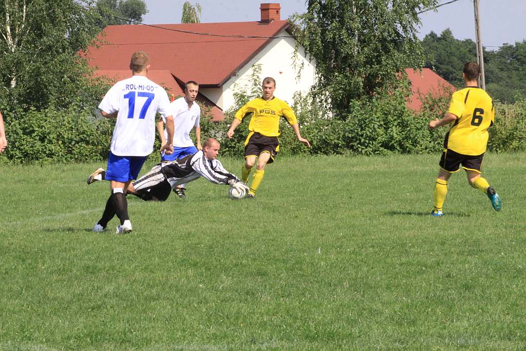 Mewa - Kochlice