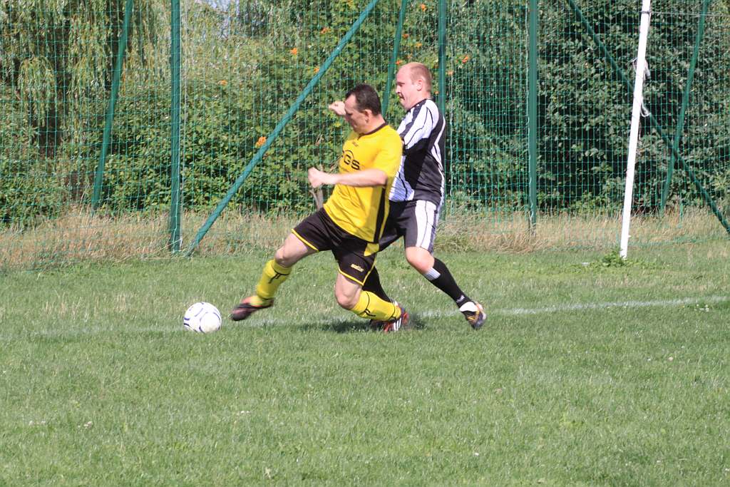 Mewa - Kochlice