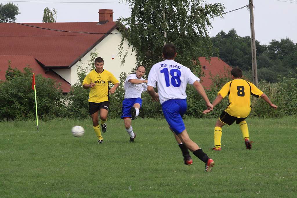 Mewa - Kochlice