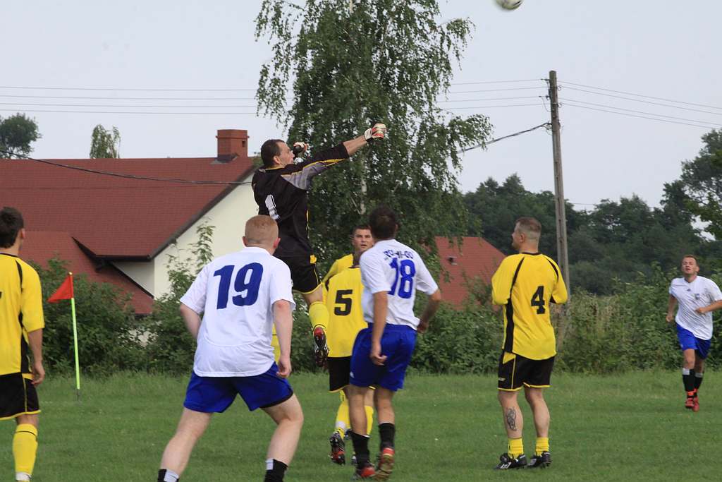 Mewa - Kochlice