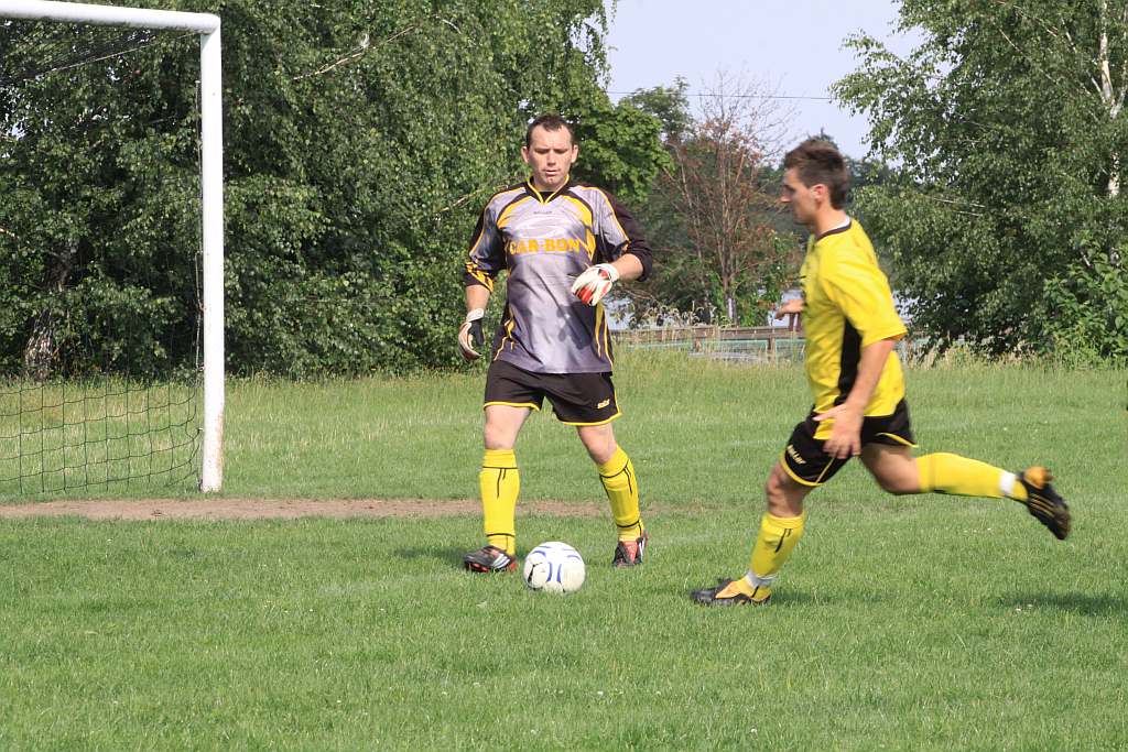 Mewa - Kochlice