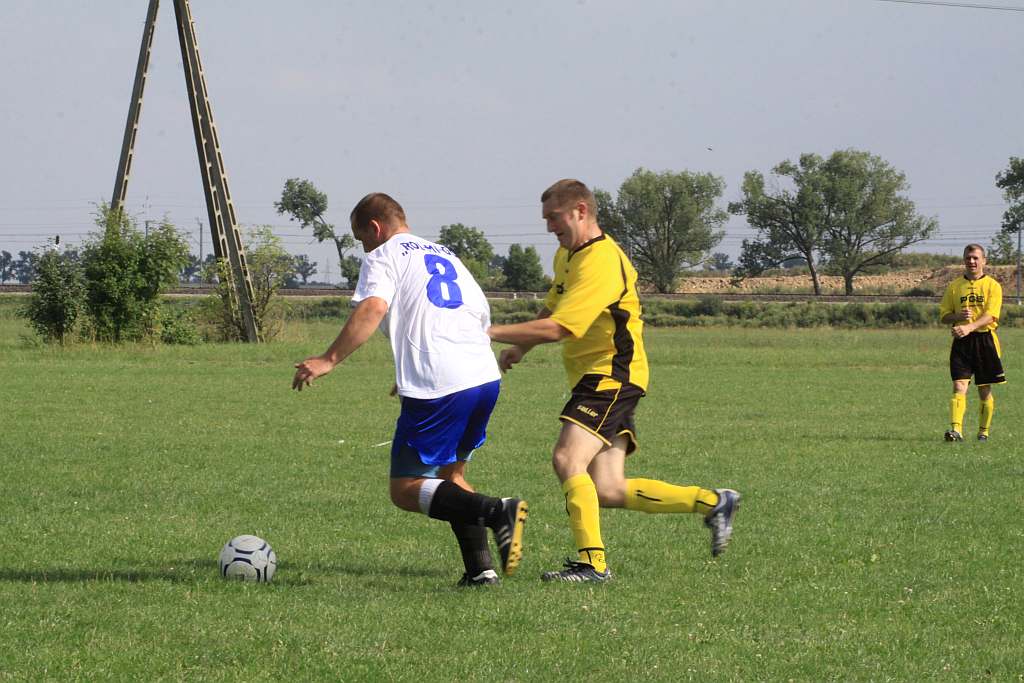 Mewa - Kochlice