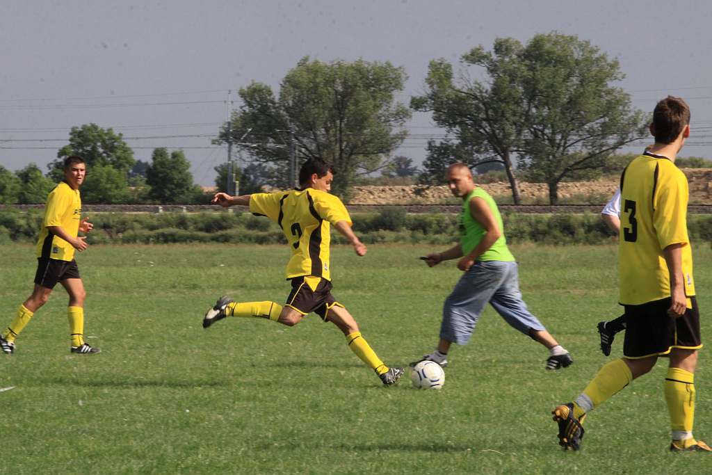 Mewa - Kochlice