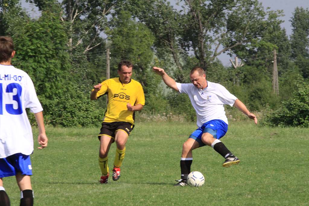 Mewa - Kochlice