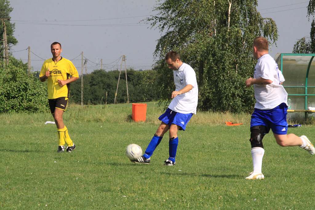 Mewa - Kochlice
