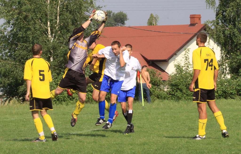 Mewa - Kochlice
