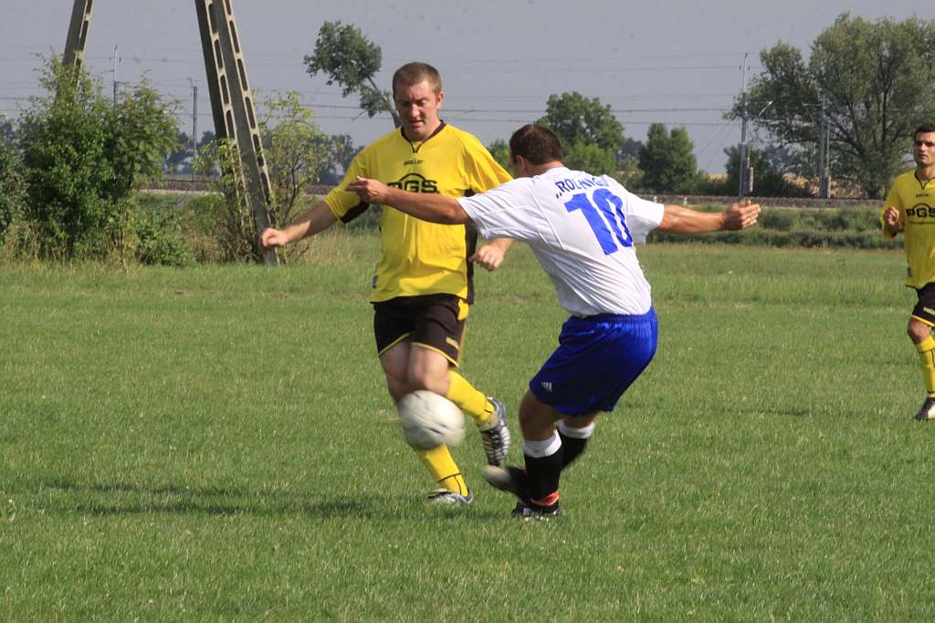 Mewa - Kochlice