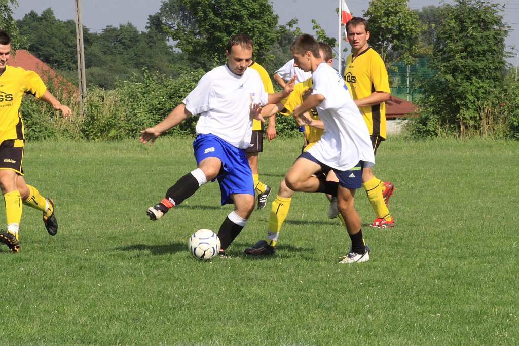 Mewa - Kochlice