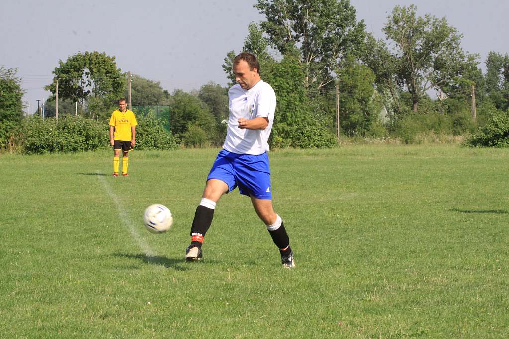 Mewa - Kochlice