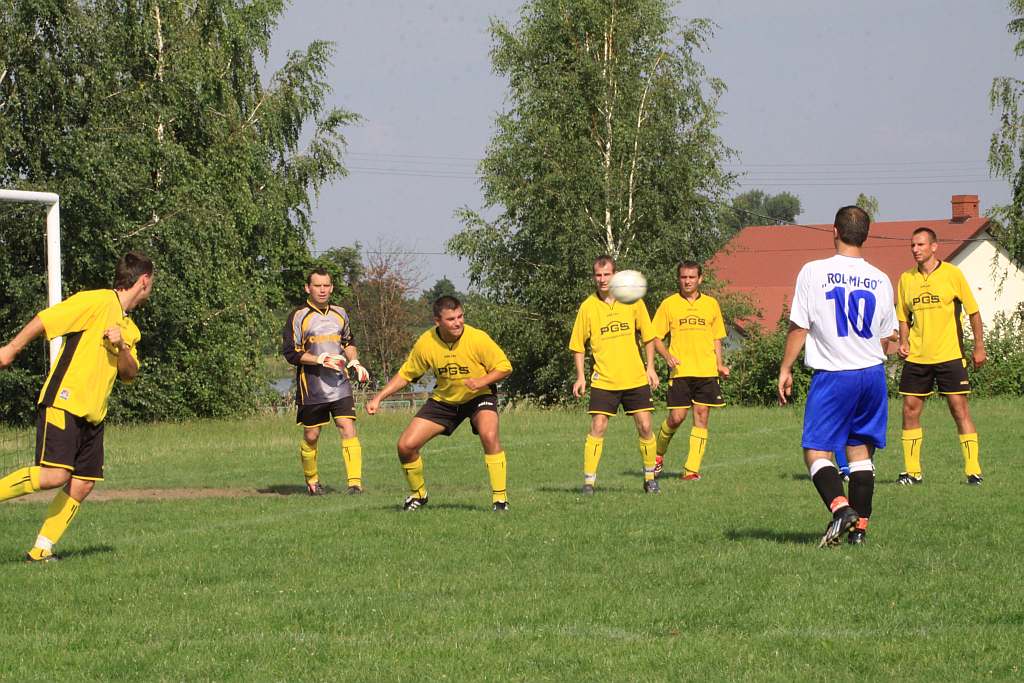 Mewa - Kochlice