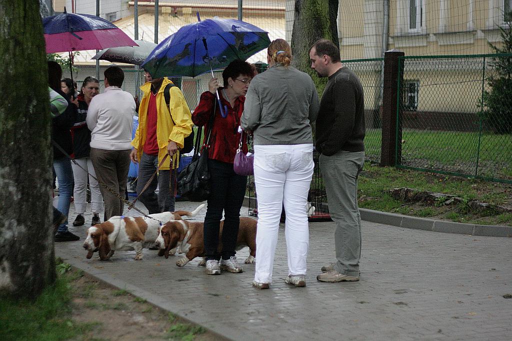 Krajowa Wystawa Psów Rasowych