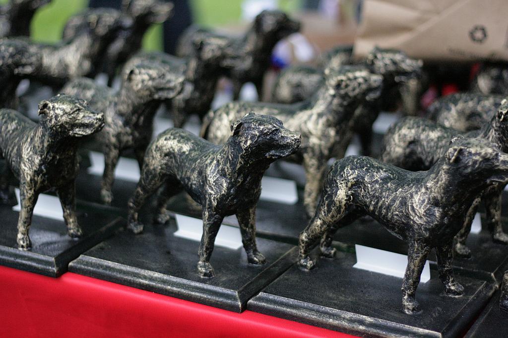 Krajowa Wystawa Psów Rasowych