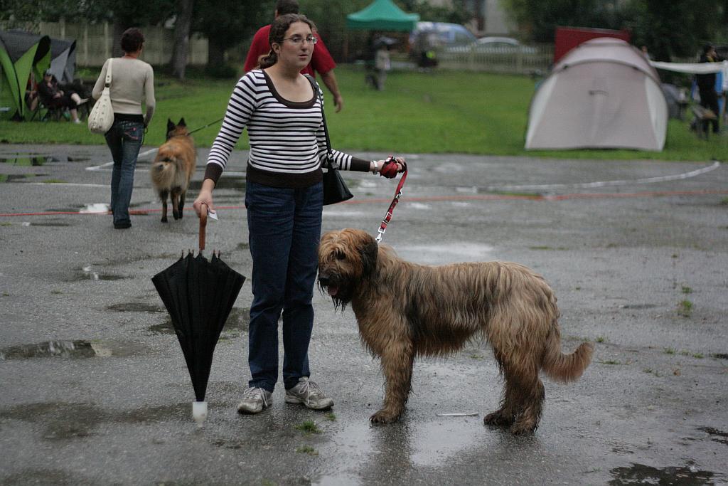 Krajowa Wystawa Psów Rasowych