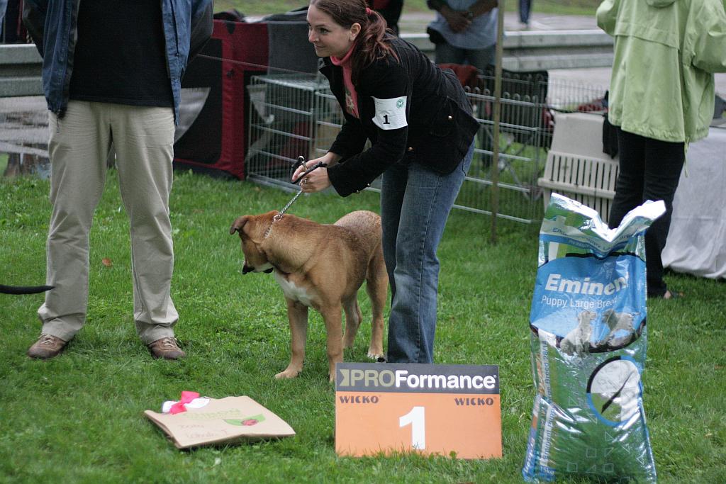 Krajowa Wystawa Psów Rasowych