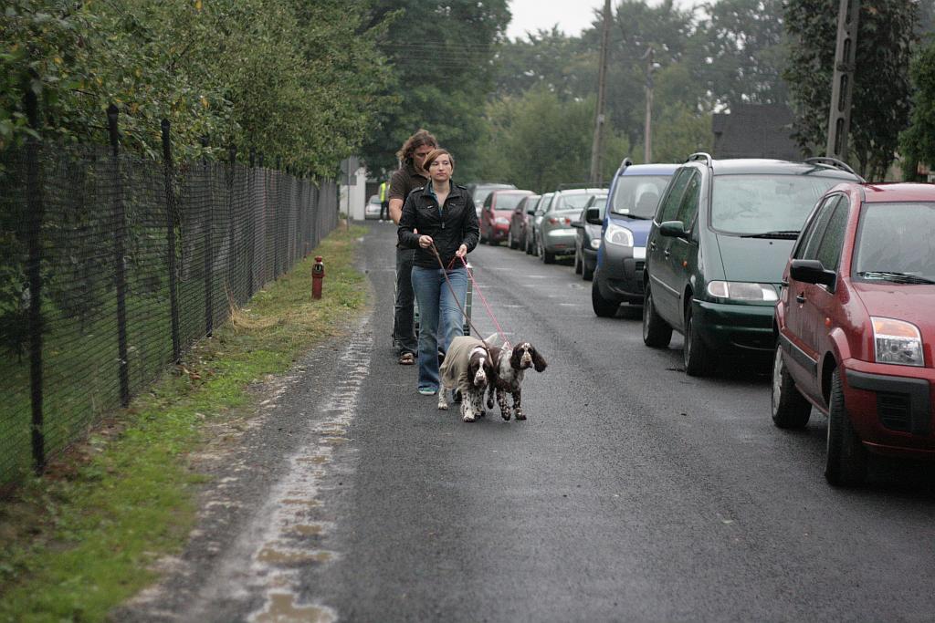 Krajowa Wystawa Psów Rasowych