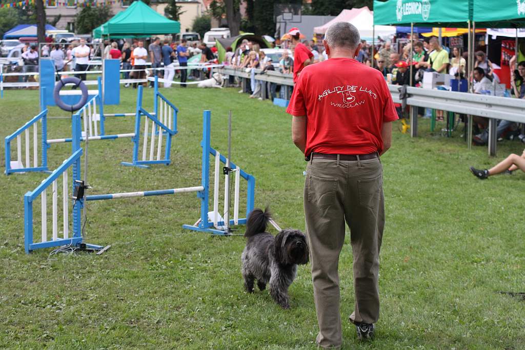 Krajowa Wystawa Psów Rasowych