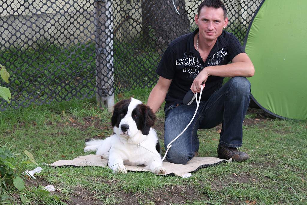 Krajowa Wystawa Psów Rasowych