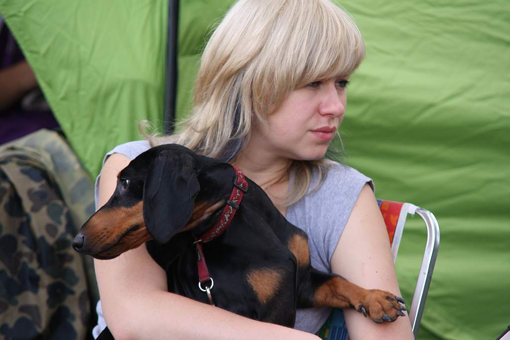 Krajowa Wystawa Psów Rasowych