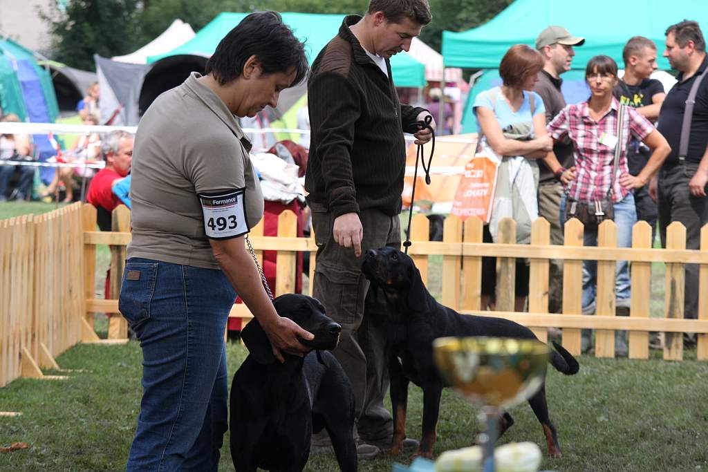 Krajowa Wystawa Psów Rasowych