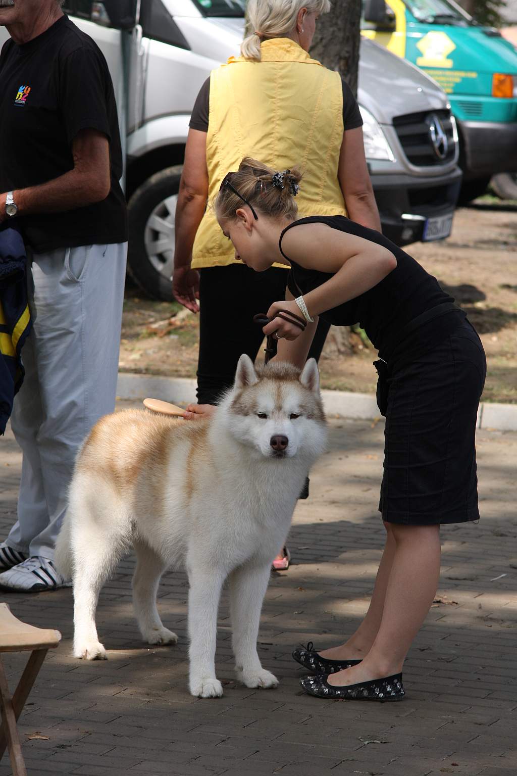 Krajowa Wystawa Psów Rasowych