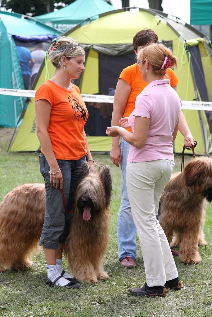 Krajowa Wystawa Psów Rasowych