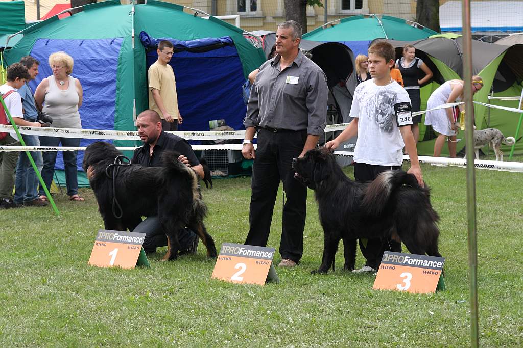Krajowa Wystawa Psów Rasowych