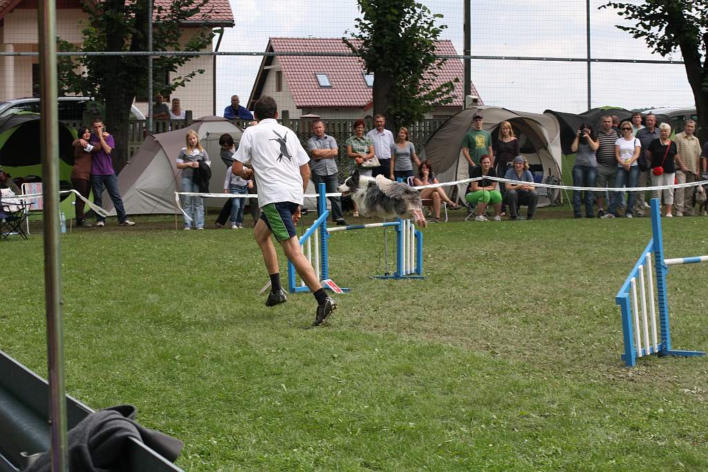 Krajowa Wystawa Psów Rasowych