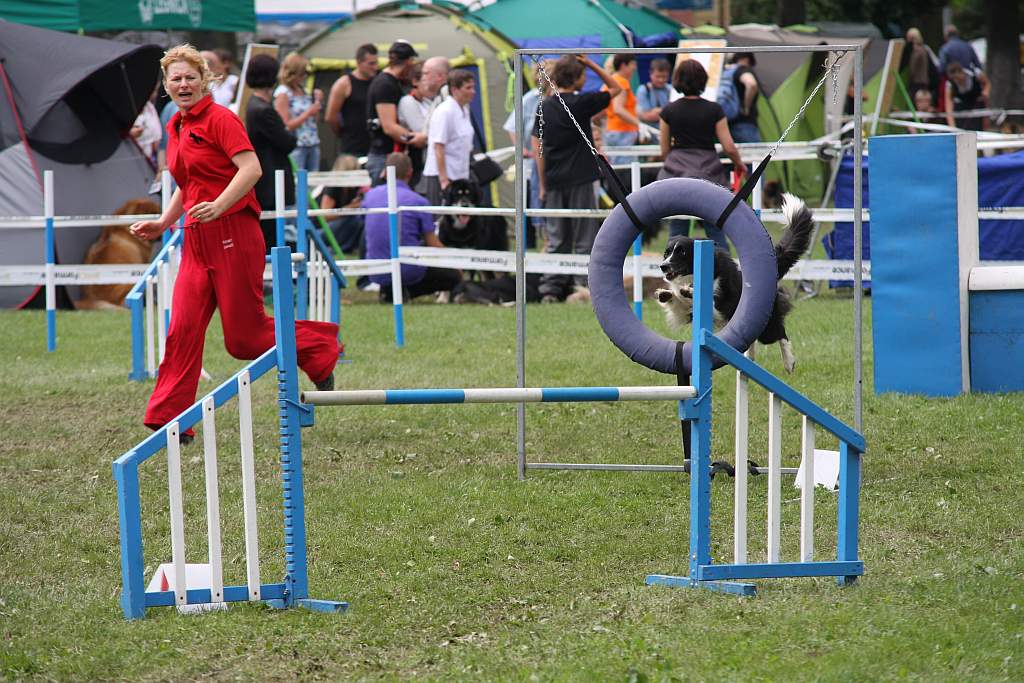 Krajowa Wystawa Psów Rasowych