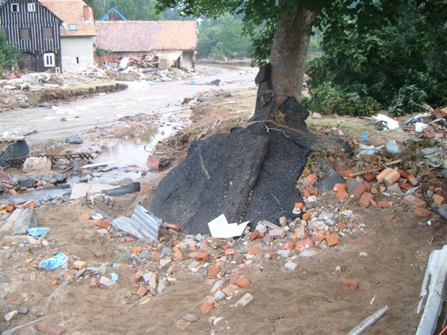 Legniccy politycy pomagają w Bogatyni