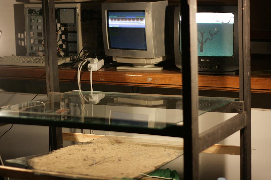 LAF: Tancerka i metalowy Chopin