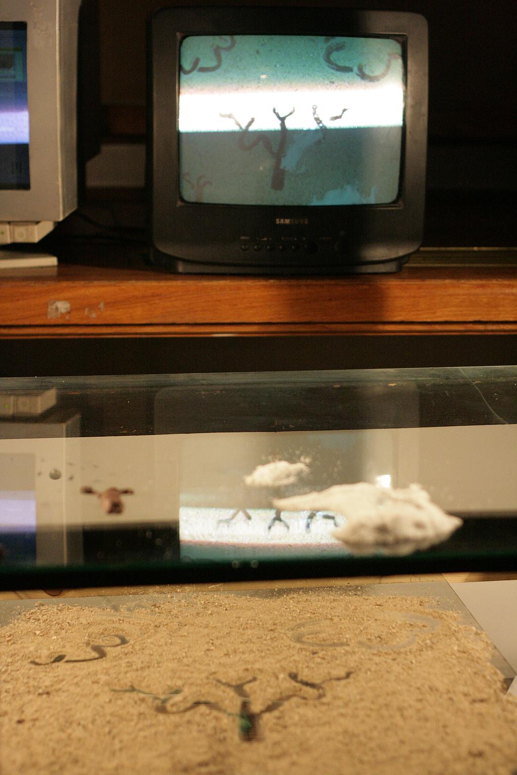 LAF: Tancerka i metalowy Chopin