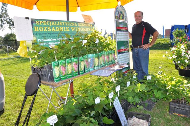 Biesiada w Prochowicach