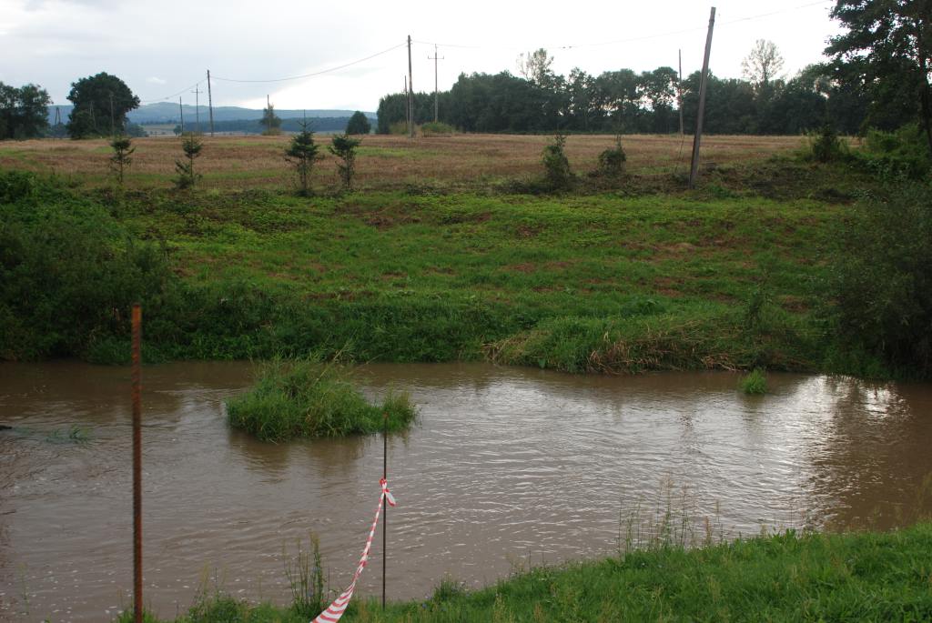 Piknik historyczny w Duninie