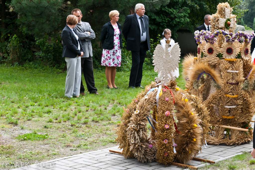 Dożynkowe uroczystości w Tyńcu