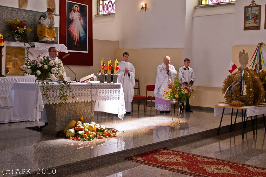 Dożynkowe uroczystości w Tyńcu