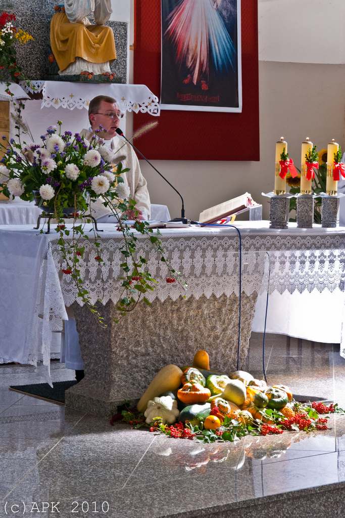 Dożynkowe uroczystości w Tyńcu