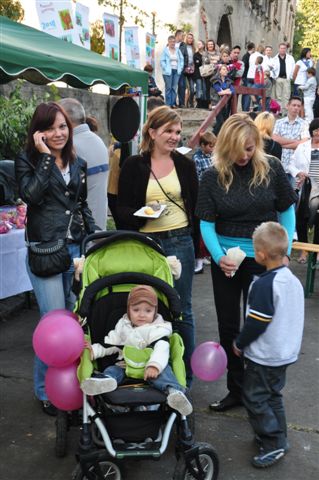 Festyn Parafialny w Prochowicach