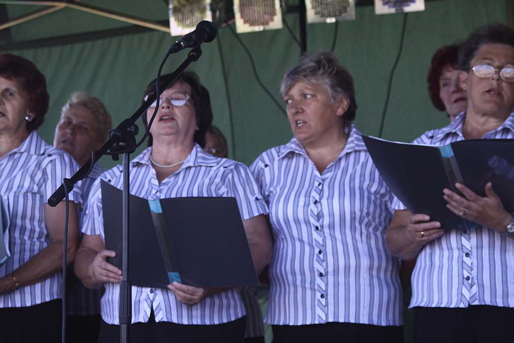 Kartoflisko w Gniewomirowicach