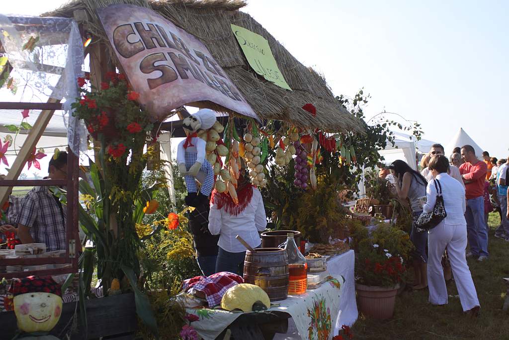 Kartoflisko w Gniewomirowicach
